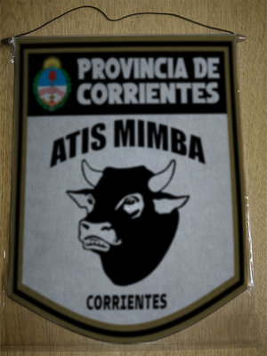BANDERIN 40CM DORADO ATIS MIMBA CORRIENTES
