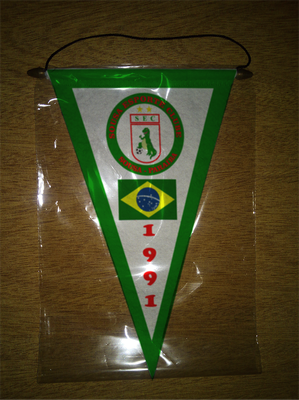 BANDERIN - PENNANT - FANION - WIMPEL - GAGLIARDETTO - FLAMULA