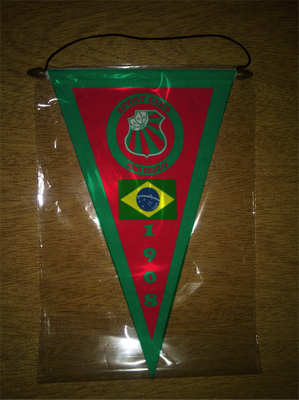 BANDERIN - PENNANT - FANION - WIMPEL - GAGLIARDETTO - FLAMULA
