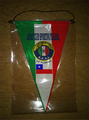 BANDERIN - PENNANT - FANION - WIMPEL - GAGLIARDETTO - FLAMULA