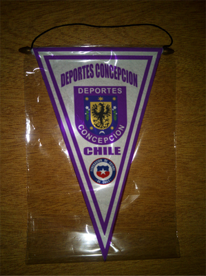 BANDERIN - PENNANT - FANION - WIMPEL - GAGLIARDETTO - FLAMULA