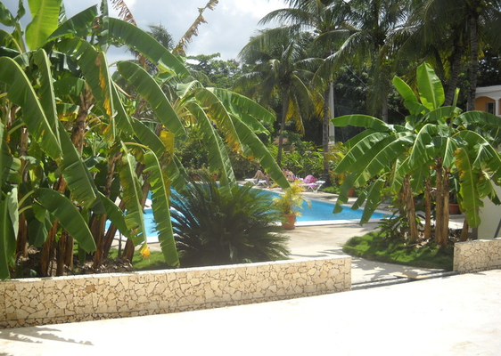 SOLO SEX VACATION ; CARIBBEAN ; DOMINCAN REPUBLIK