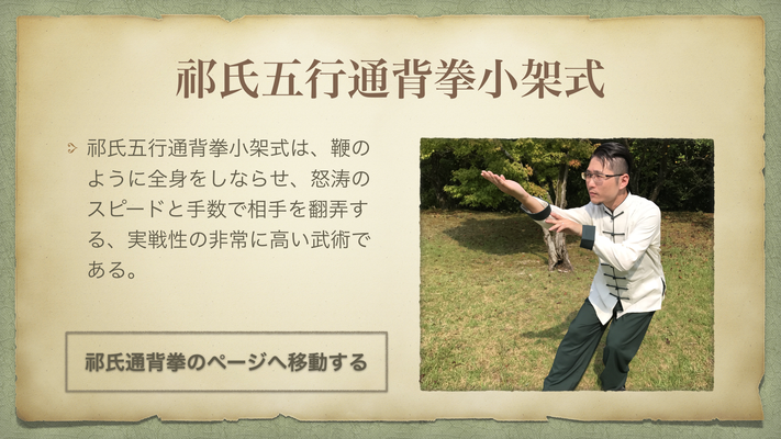 白猿通背拳 中国武術 白猿通背拳 中国武術 - メルカリ