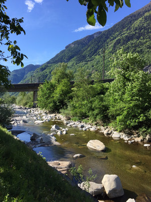 der Ticino