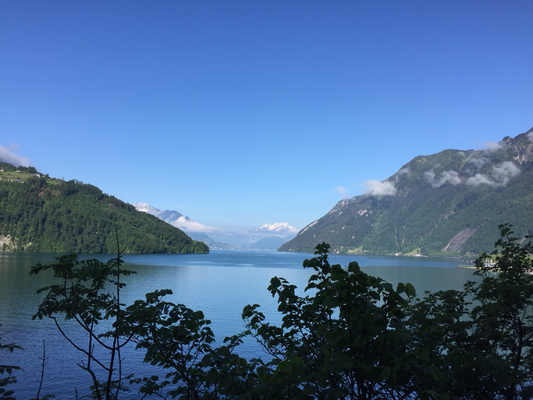 Blick in Richtung Luzern