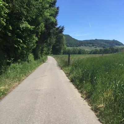 Am Rhein in Richtung Bodensee