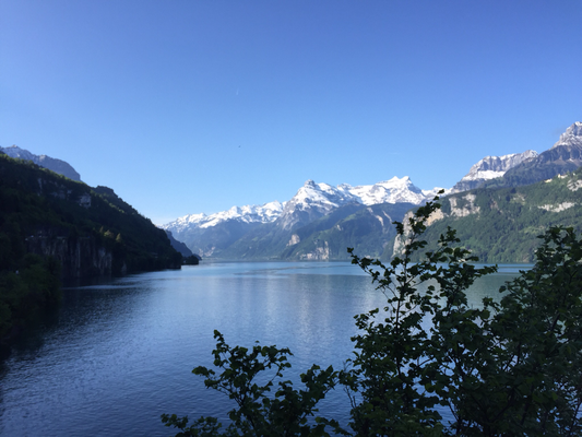 Blick in Richtung Luzern