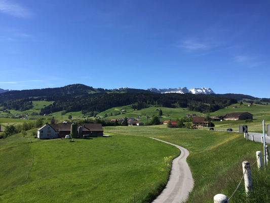 Blick in Richtung Säntis