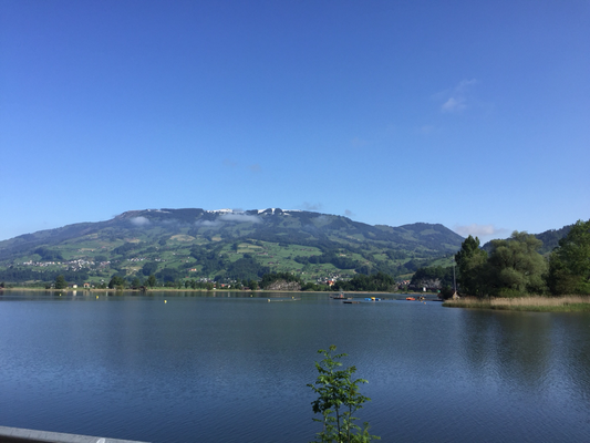 Lauerzersee