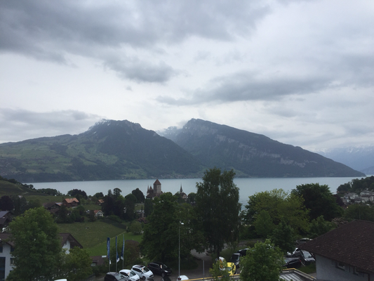 Ausblick in Spiez