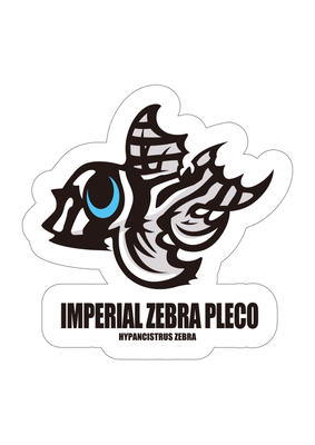 インペリアルゼブラプレコ ステッカー　Imperial zebra pleco_s
