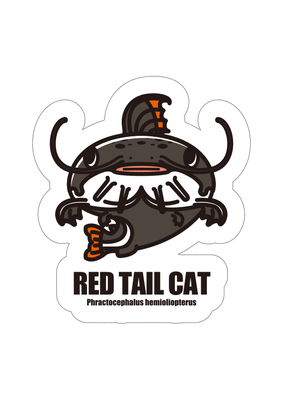 レッドテールキャット ステッカー　Red tail cat_s