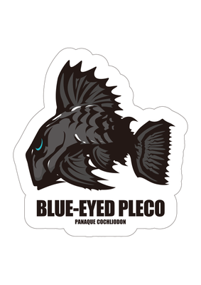 ブルーアイプレコ ステッカー　Blue-eyed pleco_s