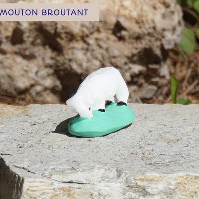 mouton broutant