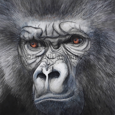Gorilla, 38 x 38 cm, 2018, Original verfügbar