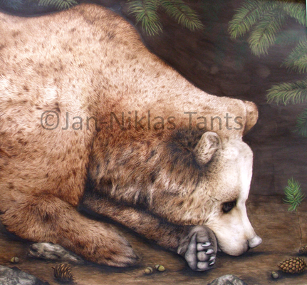 Braunbär, 2014