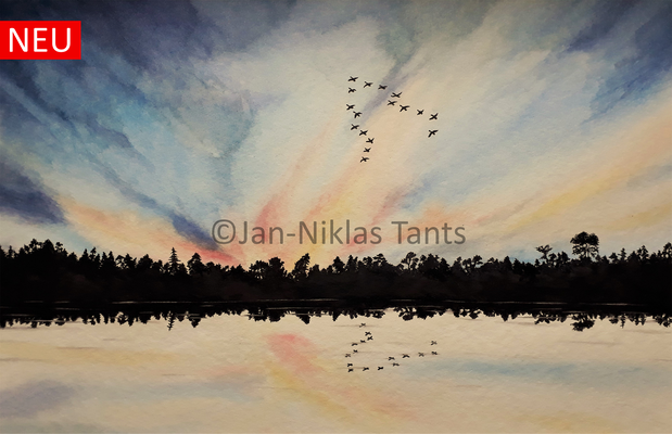 Fliegende Gänse, 40 x 26 cm, 2018, Original verfügbar