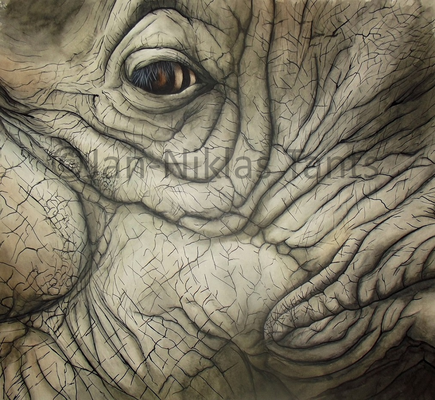Panzernashorn, 38 x 38 cm, 2016, Original verfügbar