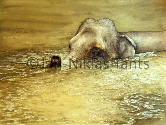 Asiatischer Elefant, 43.5 x 33.5 cm, 2015