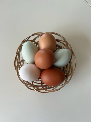 Eier  von unseren Hühnern