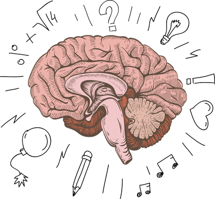 cerveau - médecine - sciences et techniques - smiley émoticône émoji cartoon clipart illustration - artémotic
