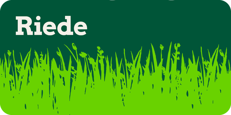 Riede