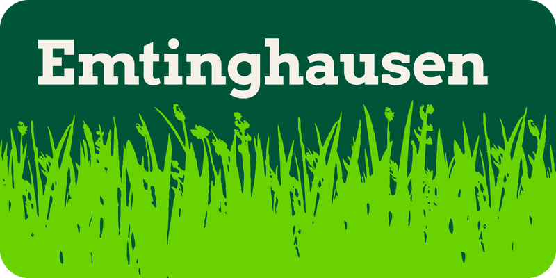 Emtinghausen