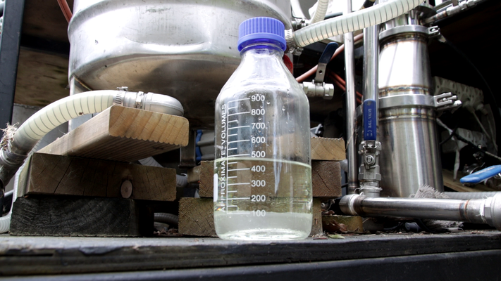 Un flacon fraichement distillée d'huile essentielle pure de Pin de Ponderosa