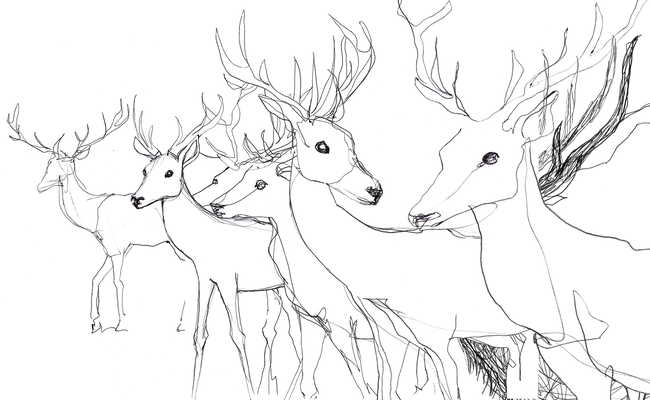 Composition idéale wip