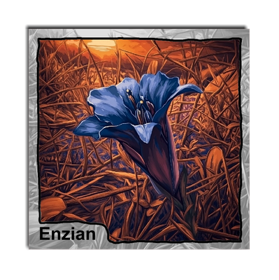 A T Enzian CF26/01