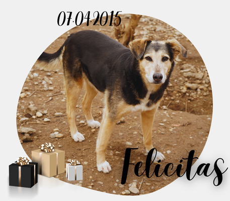 Felicitas