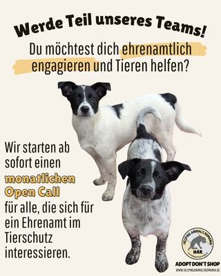 Erster Open Call