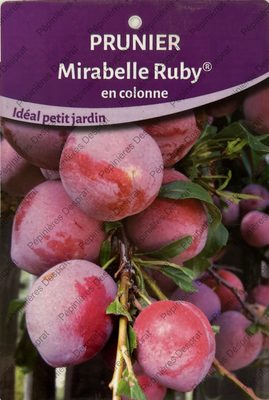 Producteur fruitiers et fruitiers nains