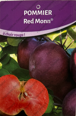 Producteur fruitiers et fruitiers nains