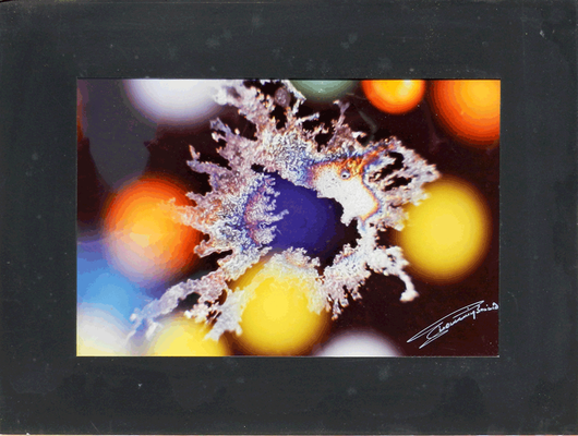  08C Bacino Gianni, Astratta realtà N. 4, 1986, carta fotografia 20x30 (con passeparteau 30x40 cm), magazzino temp. costante gradi 16/18 piano alto, immagine fotografica con data sul retro e firma dell’autore sul fronte
