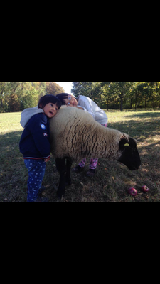 Lieblingsplatz von Nellie-Kae (7) und Neven-Lie (2) (in Bad Windsheim): Kuscheln mit der Mäh ...  im Fränkischen Freilandmuseum - dieses Foto schickte uns Agnes Thoma aus Höchberg