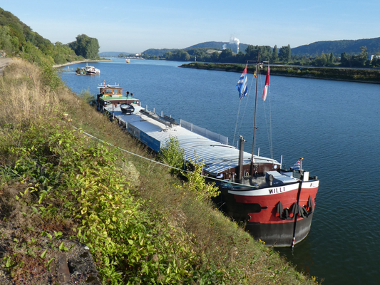 Hafen Brohl (© GB 15.9.2019)