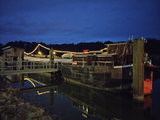 WILLI am Winterliegeplatz im Schutzhafen Erlenbach am Main (© 07.12.2025 Oliver G.)