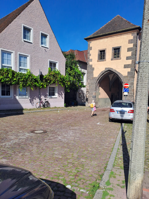 Breisach am Rhein (© 10.08.2024 Annelie F.)