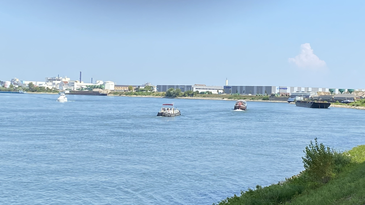 Gernsheim (© 13.08.2024 Richie)