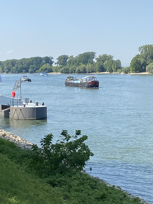 Gernsheim (© 13.08.2024 Richie)