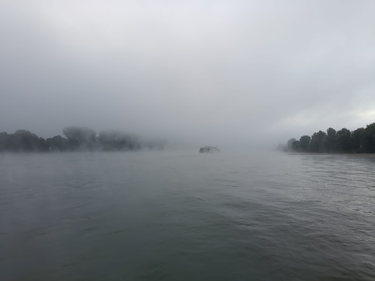 Reiseetappe Lahnstein - Bingen (© Andy R.)