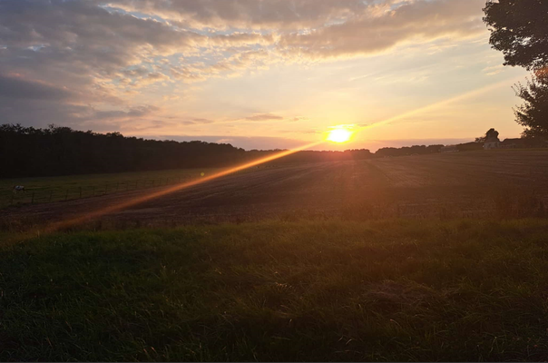 Sonnenuntergang am Liegeplatz Albeschaux (© Andy R. 21.08.2025)