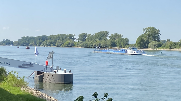 Gernsheim (© 13.08.2024 Richie)