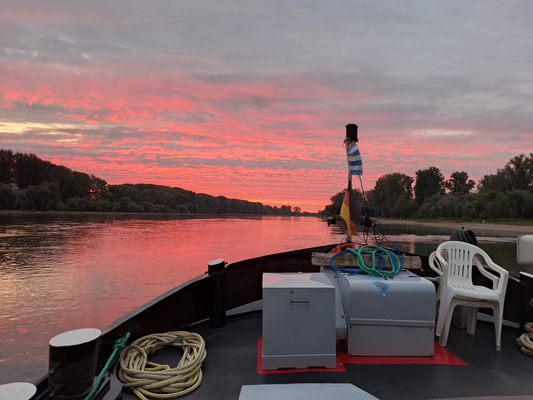 Tagesetappe Speyer-Karlsruhe, 07:13 Uhr Speyer zu Berg, Rhein-km 399 (© pm)