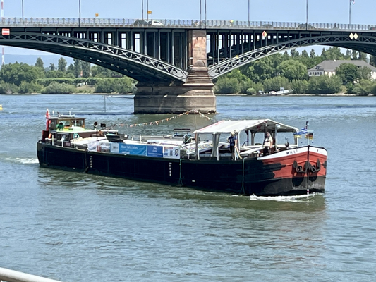 oberhalb der Theodor-Heuss-Brücke © 14.06.2025 EDA