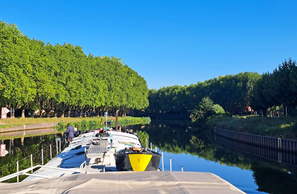 Saar in Saarbrücken (© 24.08.2025 Andy R.)