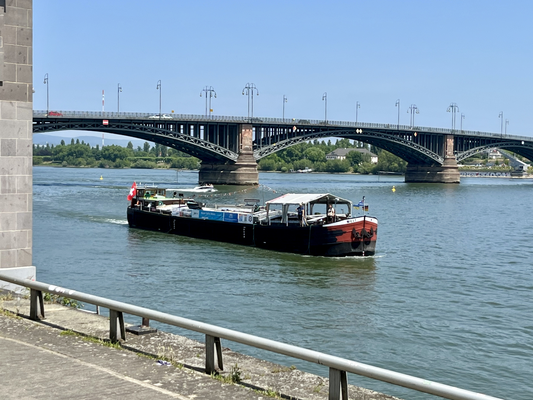 oberhalb der Theodor-Heuss-Brücke © 14.06.2025 EDA