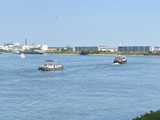 Gernsheim (© 13.08.2024 Richie)