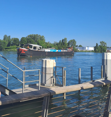 Schiffsanlegestelle der Stadt Weil am Rhein (© 10.08.2024 Annelie F.)